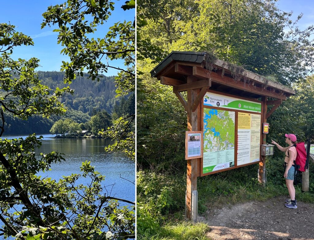 Wandelaar die de routekaart bestudeert bij de ingang van Nationaal Park Eifel in Duitsland