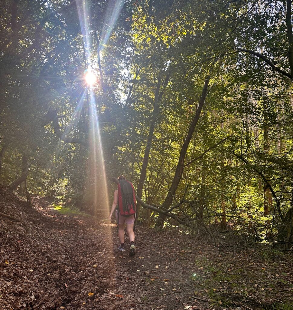 Wandelpad door het bos tijdens een packraft-avontuur in Duitsland